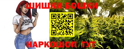 гидра Краснознаменск