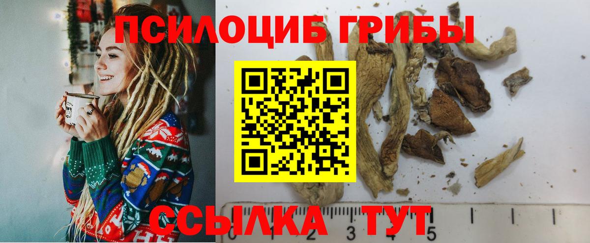 Кубинка  Псилоцибиновые грибы GOLDEN TEACHER  Вход с VPN  Псилоцибиновые грибы Magic Shrooms 